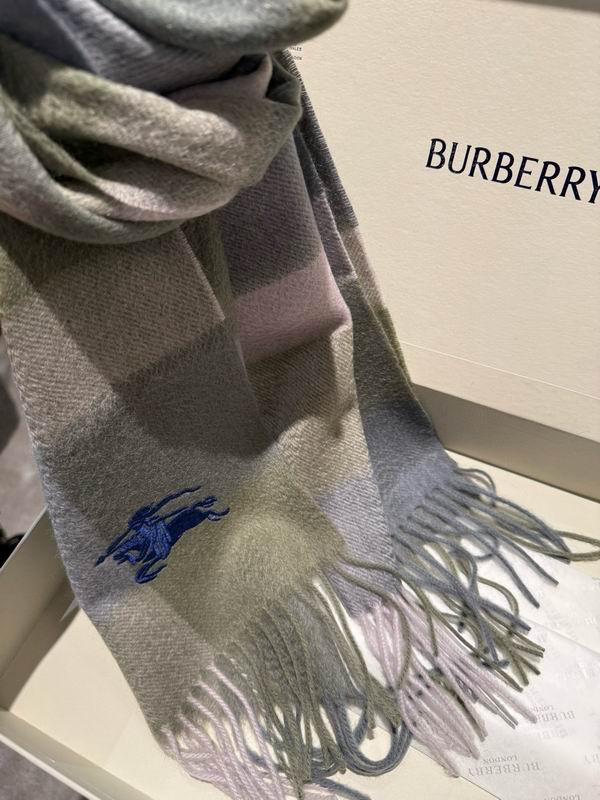 Burberry Scarf 40X180cm  E09 (2)