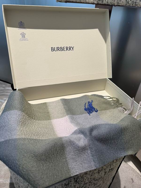 Burberry Scarf 40X180cm  E09 (4)