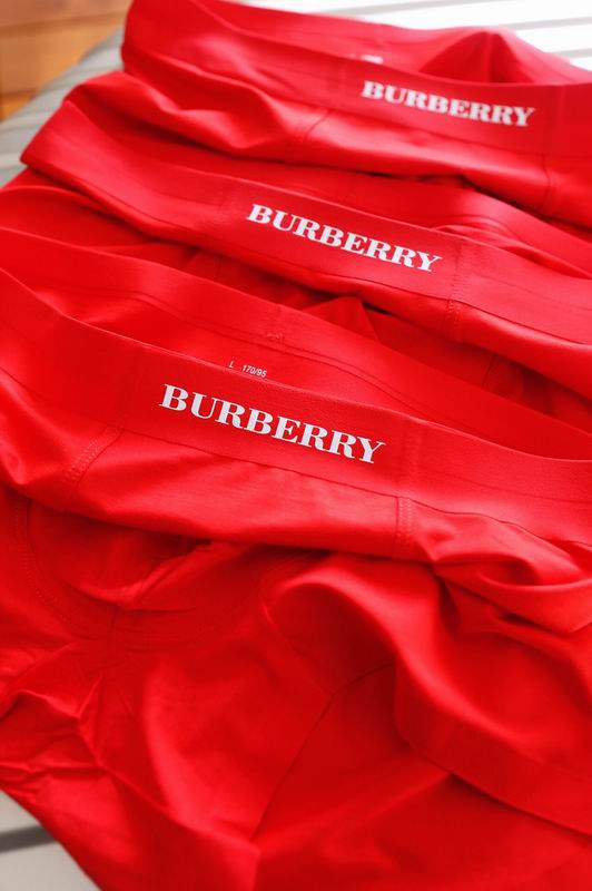 Burberry boxer L-3XL 06 (2)