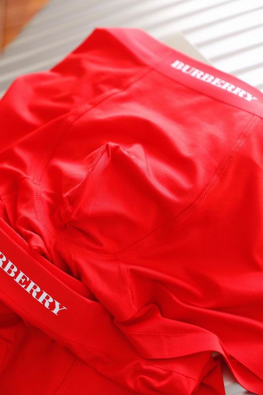 Burberry boxer L-3XL 06 (4)