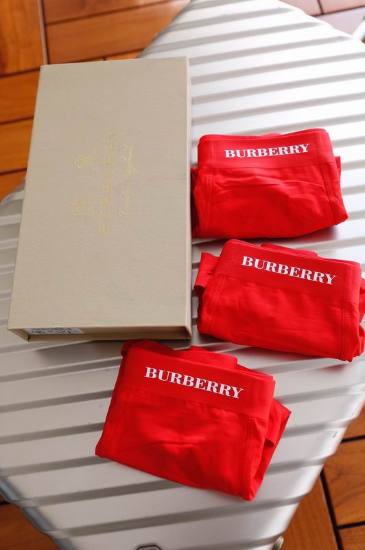 Burberry boxer L-3XL 06 (6)