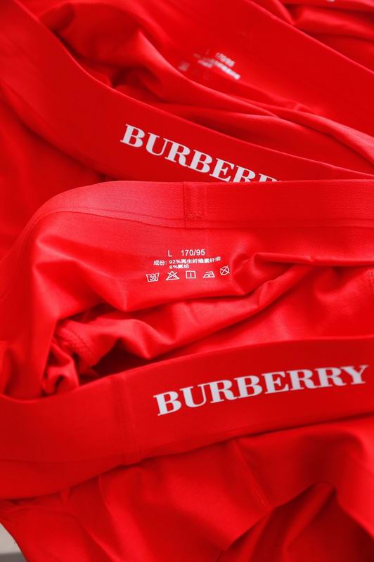 Burberry boxer L-3XL 06 (7)