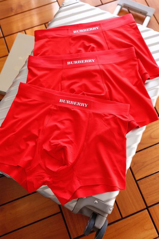 Burberry boxer L-3XL 06 (8)