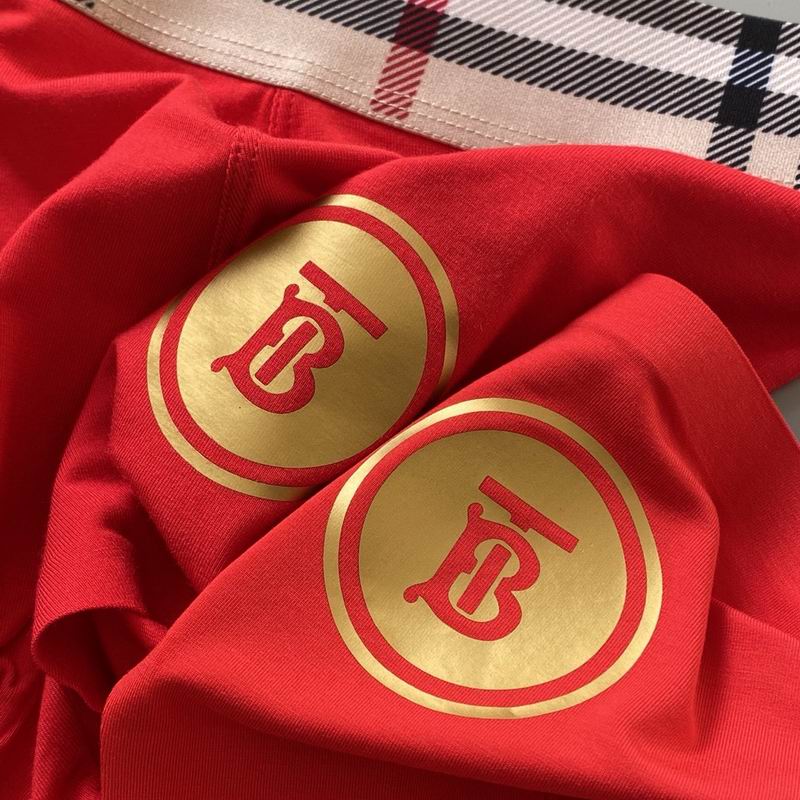 Burberry boxer M L 07 (1)