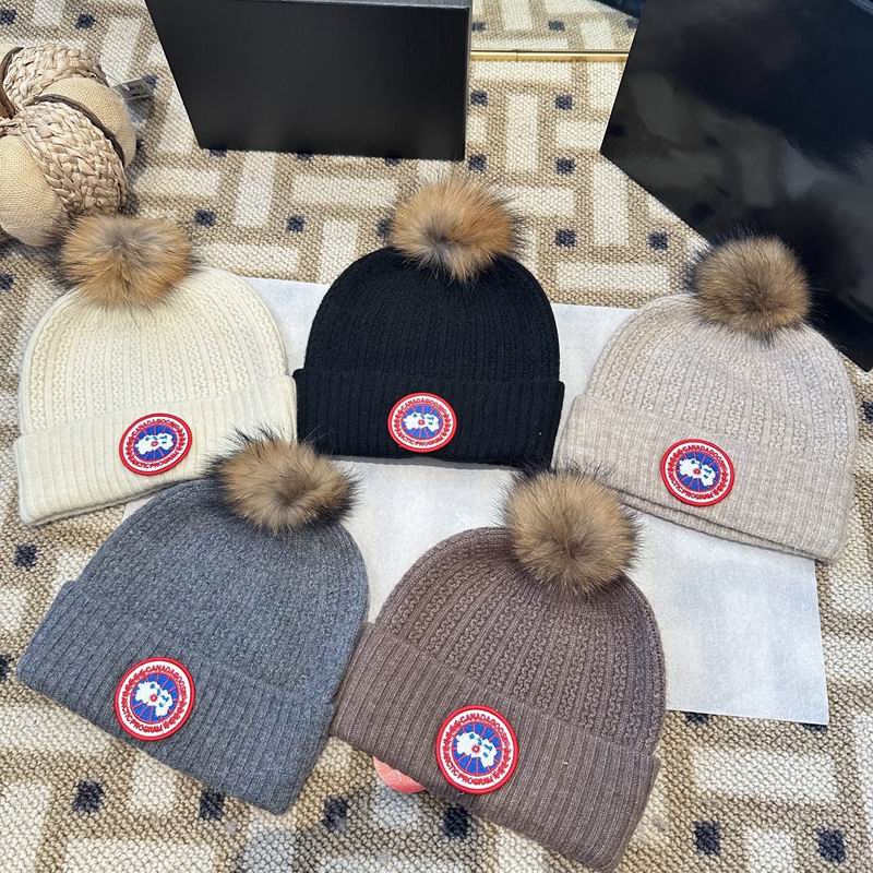 Canada Goose Hat (2015)