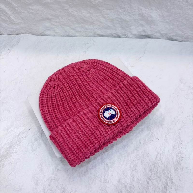 Canada Goose hat (3371)
