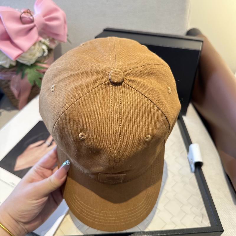 Carhartt cap (312)