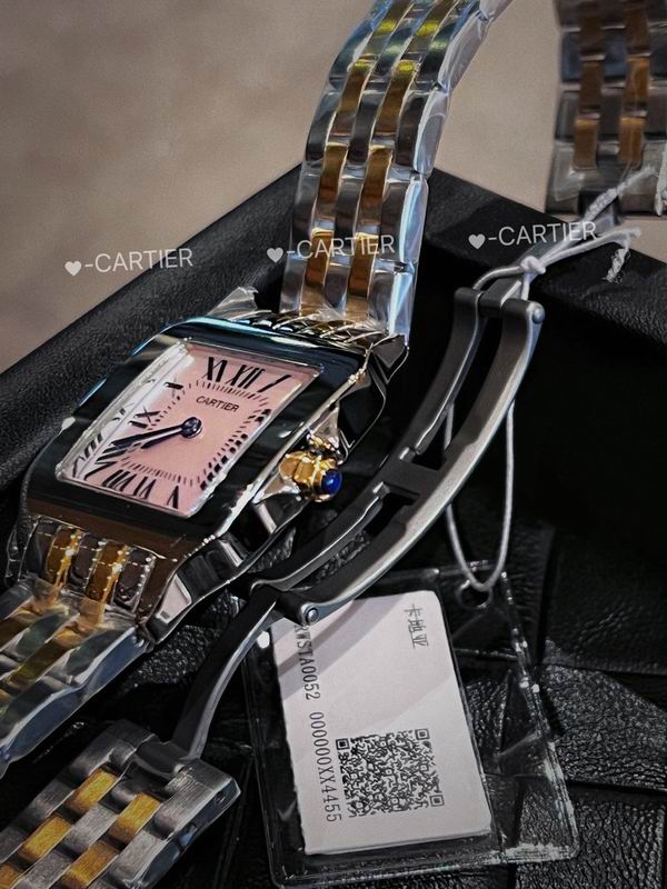 Cartier 26X36mm 21X28mm 14 (11)