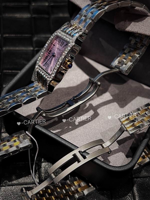 Cartier 26X36mm 21X28mm 14 (3)