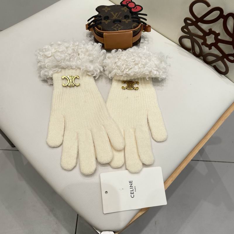 Celine Gloves 010207 (18)