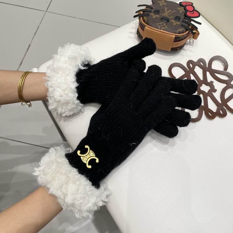 Celine Gloves 07 (2)