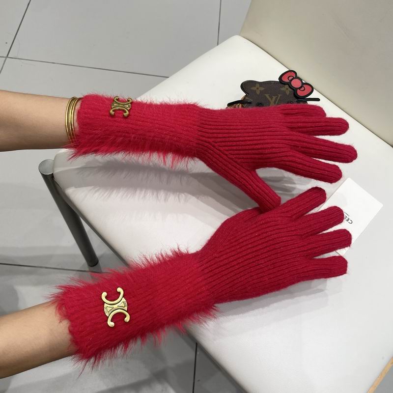 Celine Gloves 50 (3)