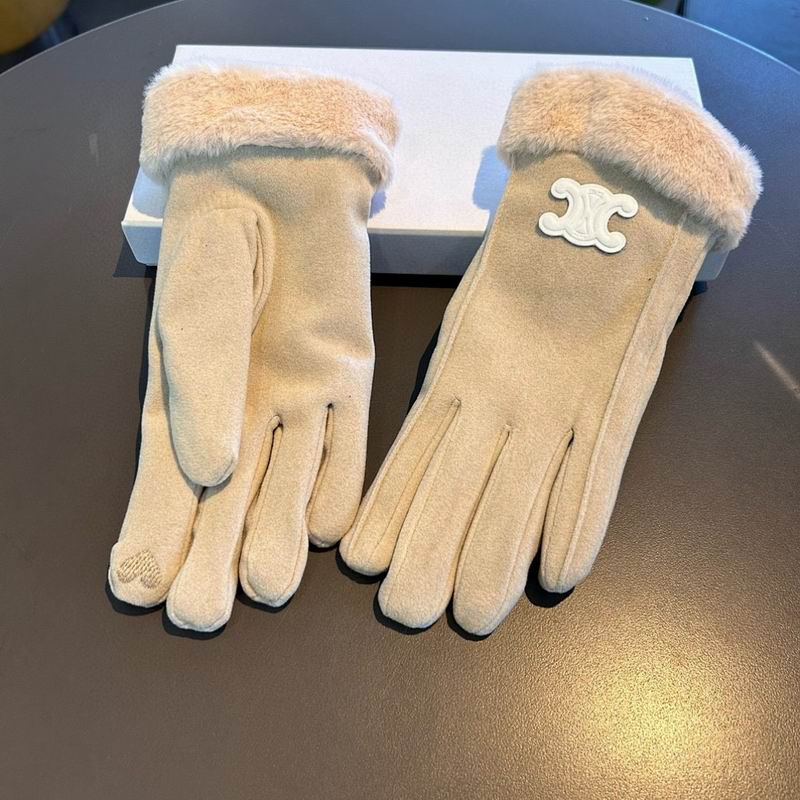 Celine Gloves hm (2)