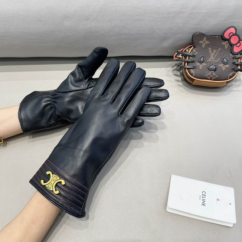 Celine Gloves hm (24)