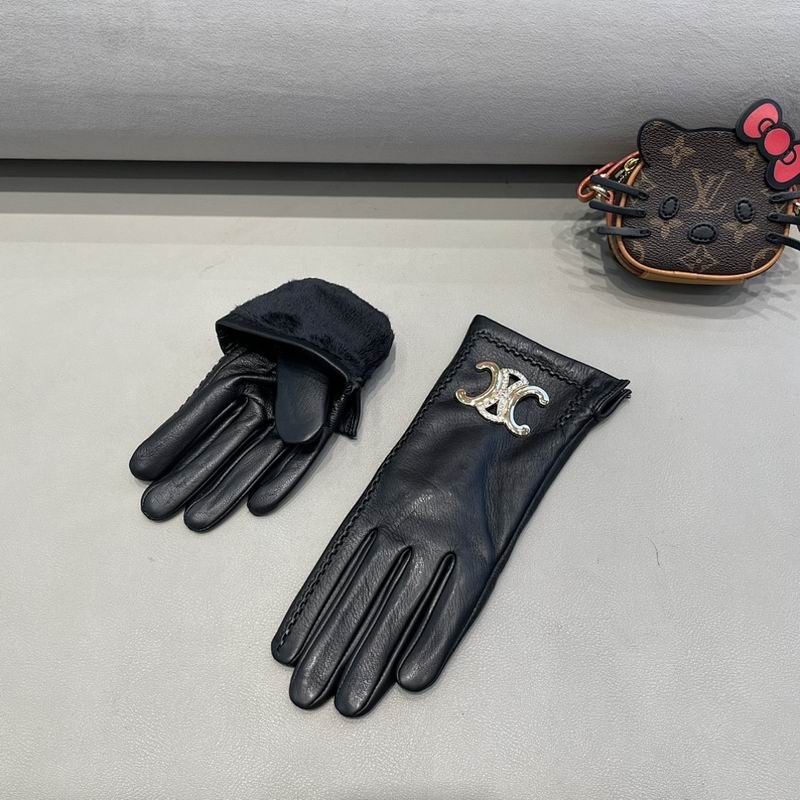 Celine Gloves hm (25)