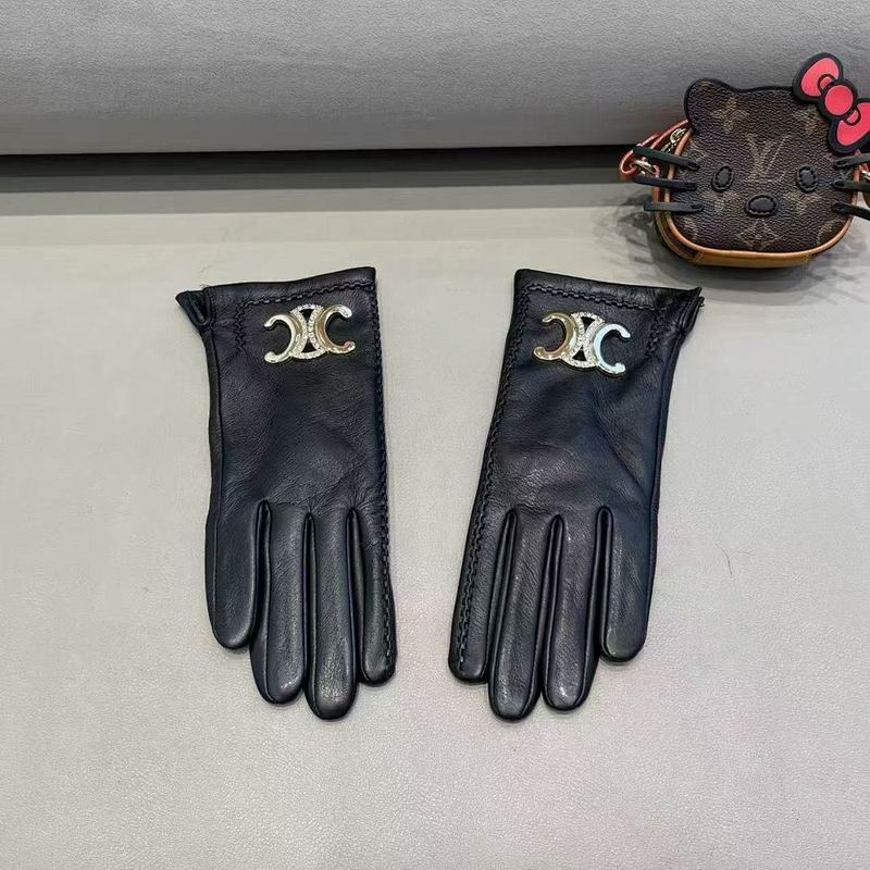 Celine Gloves hm (27)
