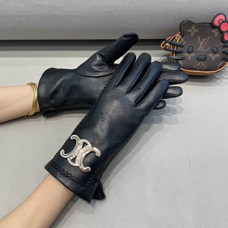Celine Gloves hm (28)