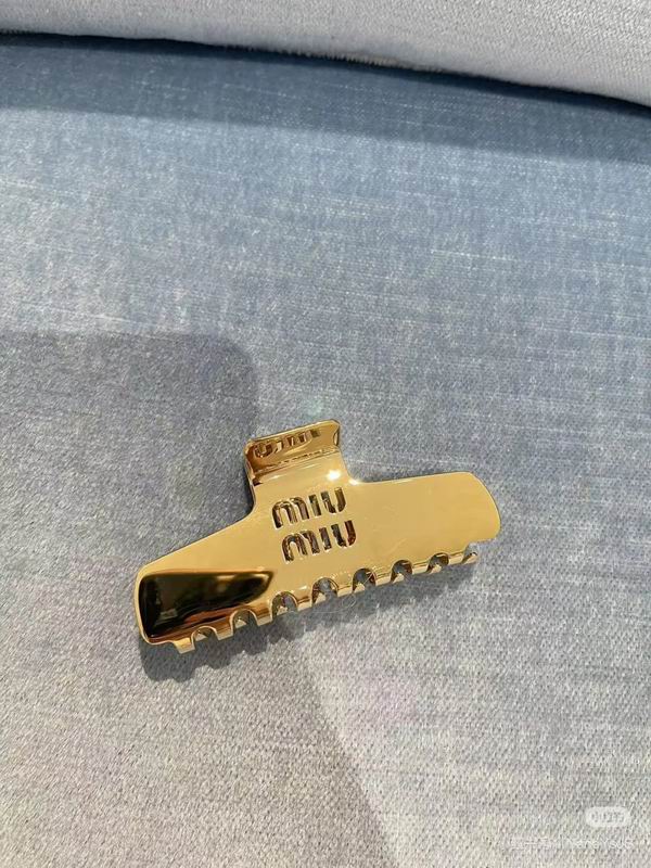 Celine Hair Grab Clip hh (20)