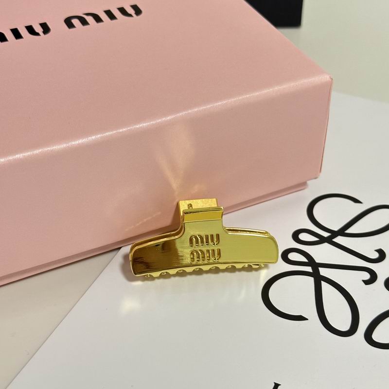 Celine Hair Grab Clip hh (22)