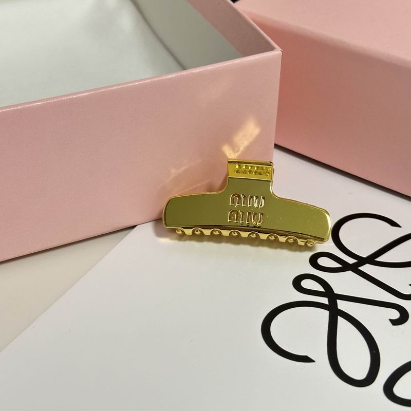 Celine Hair Grab Clip hh (24)