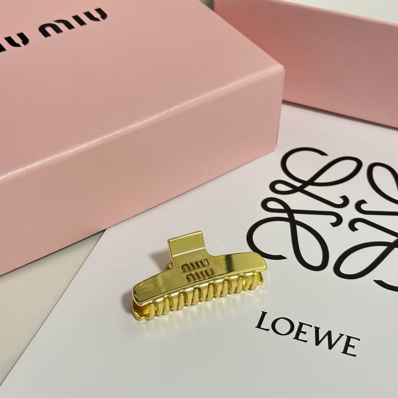 Celine Hair Grab Clip hh (27)