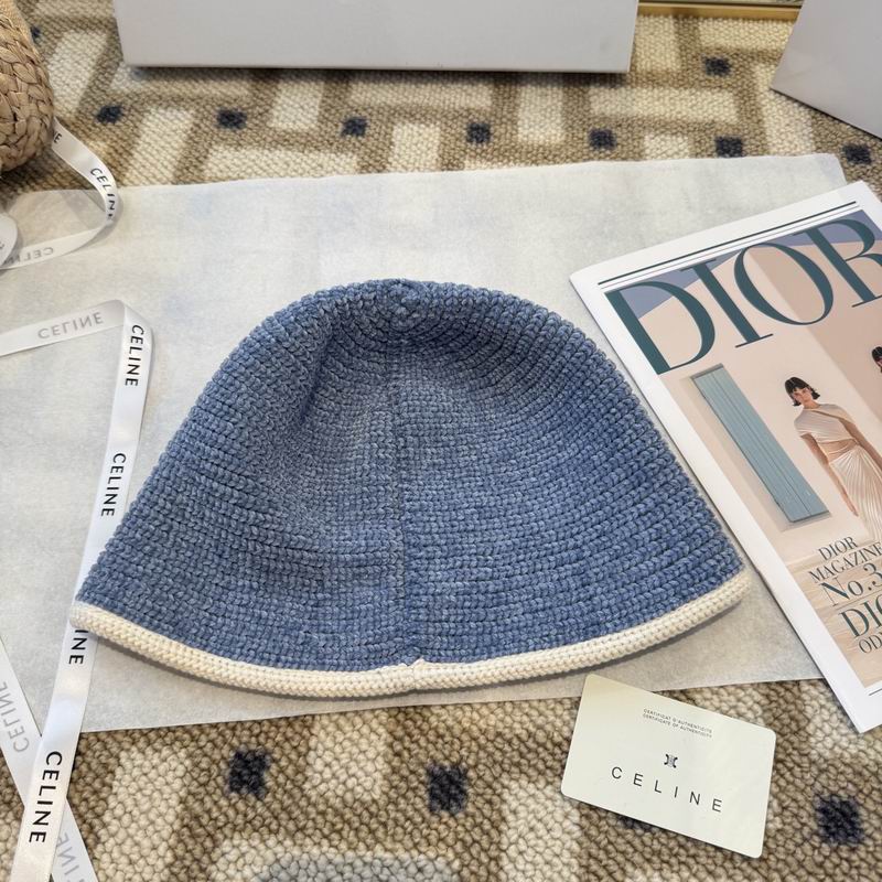 Celine hat (53)