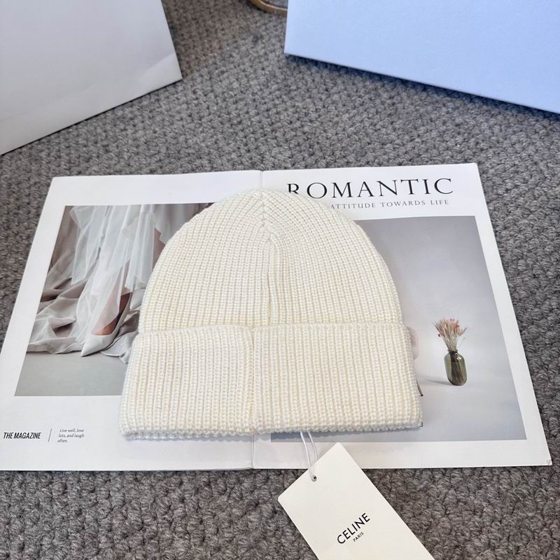 Celine hat (904)