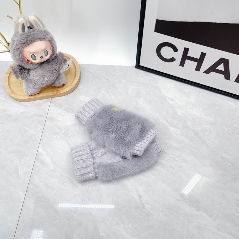 Chanel Gloves dx12 (27)