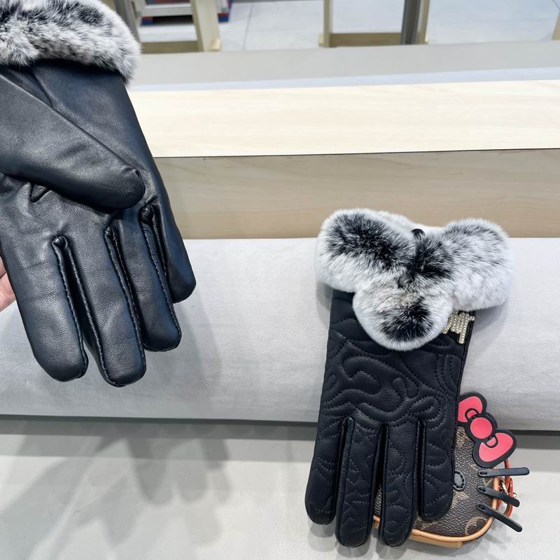 Dior Gloves M L 62 (3)