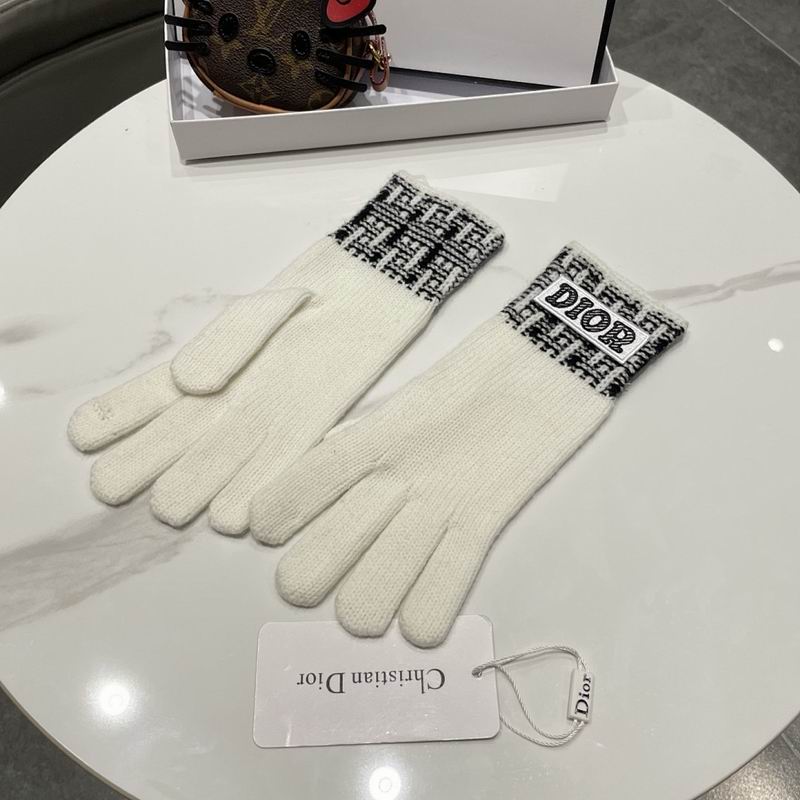 Dior Gloves hm (14)