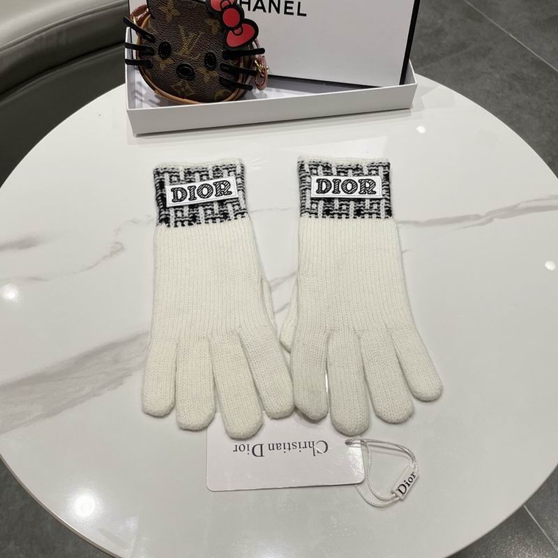 Dior Gloves hm (15)