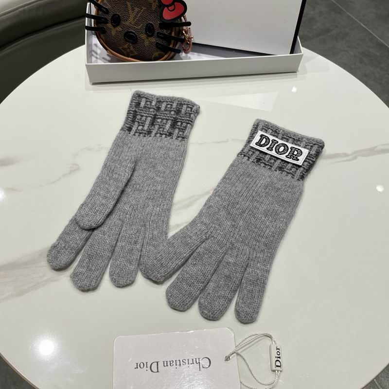 Dior Gloves hm (20)