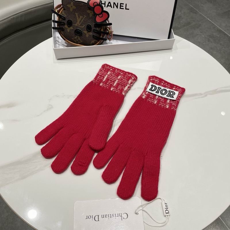Dior Gloves hm (23)