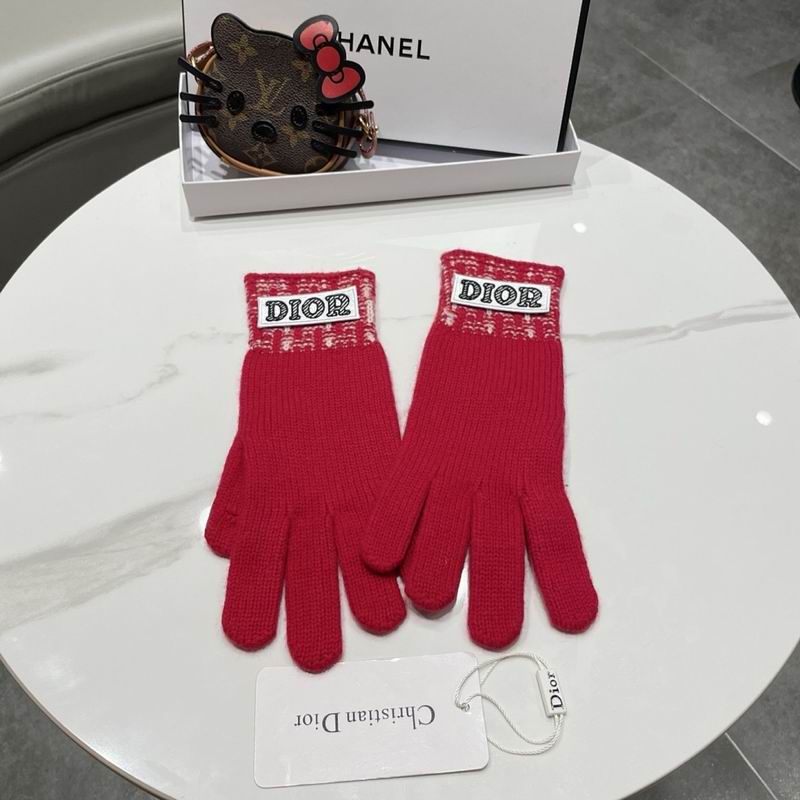 Dior Gloves hm (24)