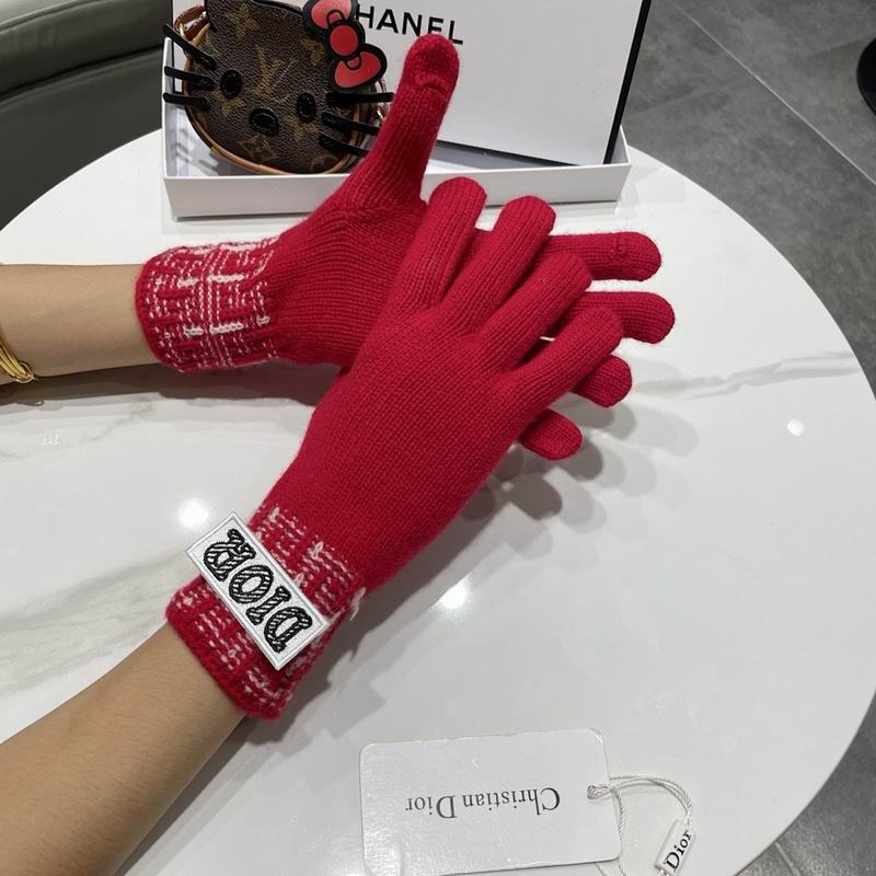 Dior Gloves hm (25)