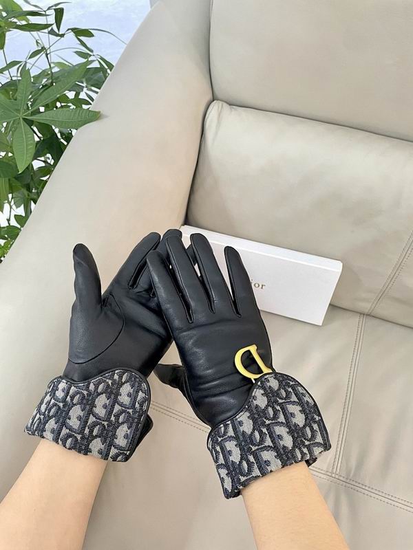Dior Gloves hm (41)