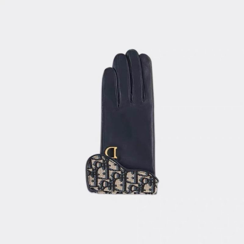 Dior Gloves hm (42)