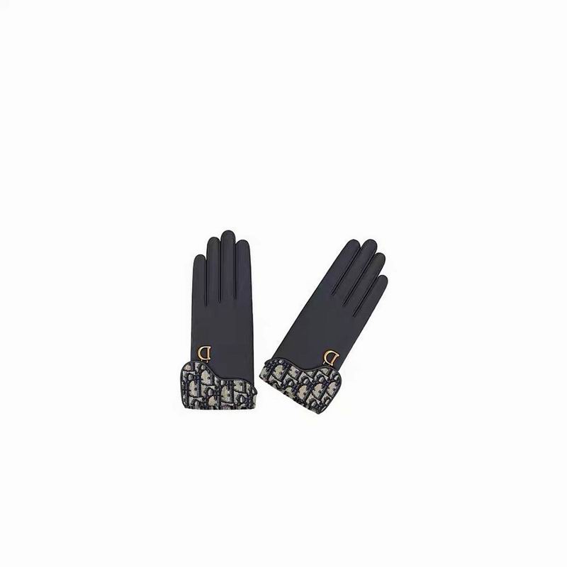 Dior Gloves hm (43)