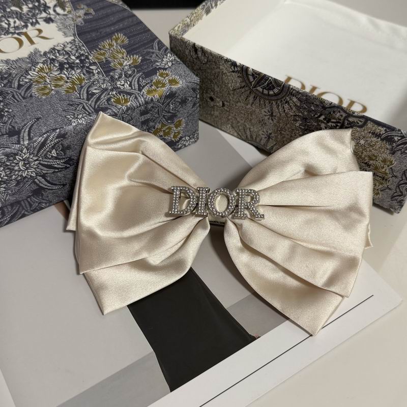 Dior Hairpin hh (15)