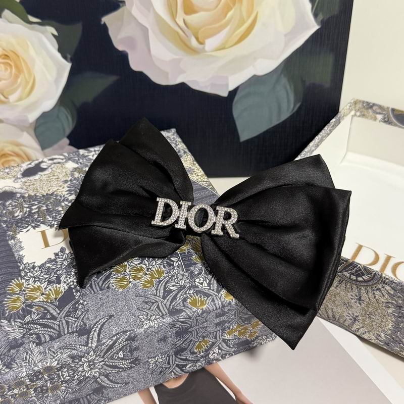 Dior Hairpin hh (19)