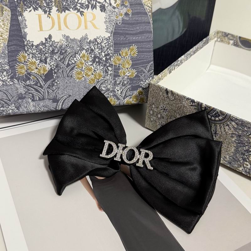 Dior Hairpin hh (20)