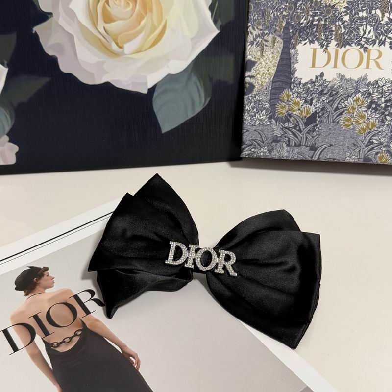 Dior Hairpin hh (23)