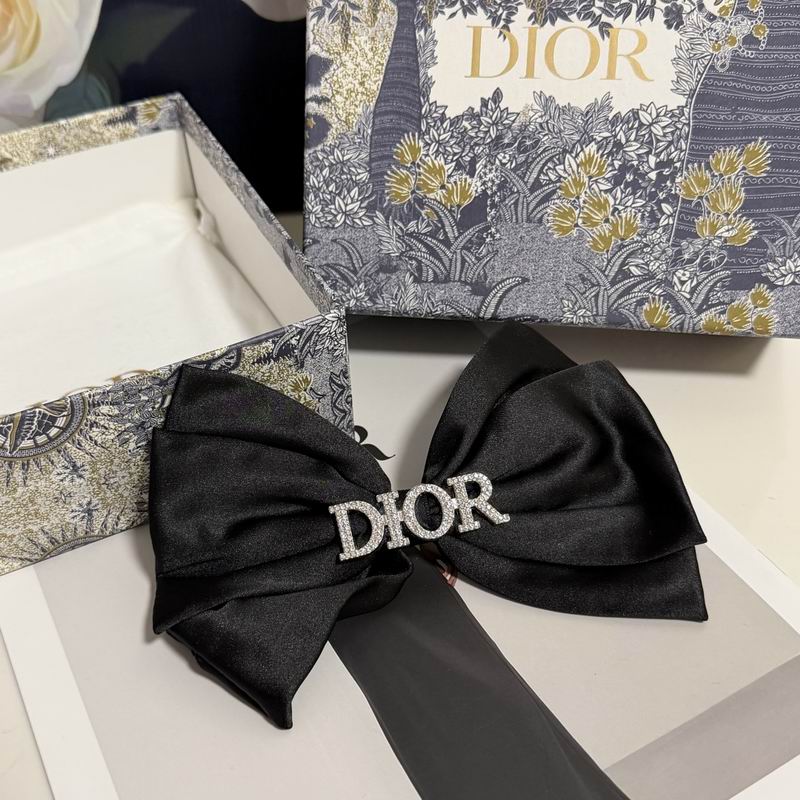 Dior Hairpin hh (24)