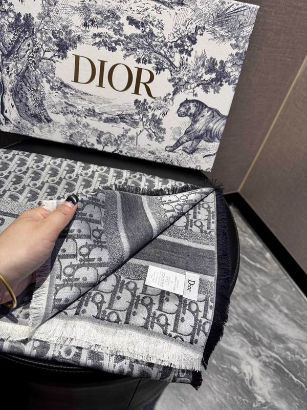 Dior Scarf 70X200cm E02 (5)
