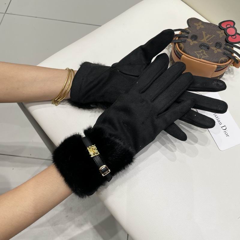 Dior gloves 47 (10)