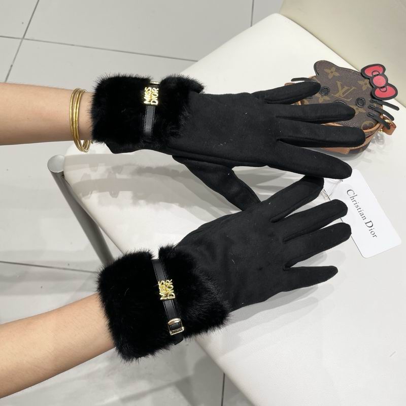 Dior gloves 47 (11)