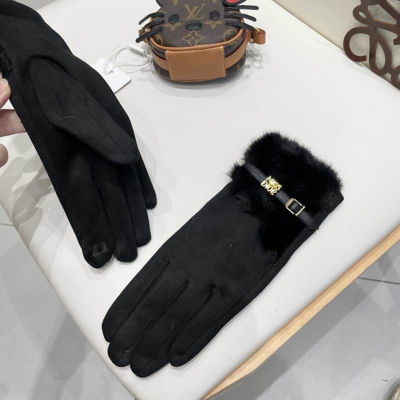 Dior gloves 47 (14)