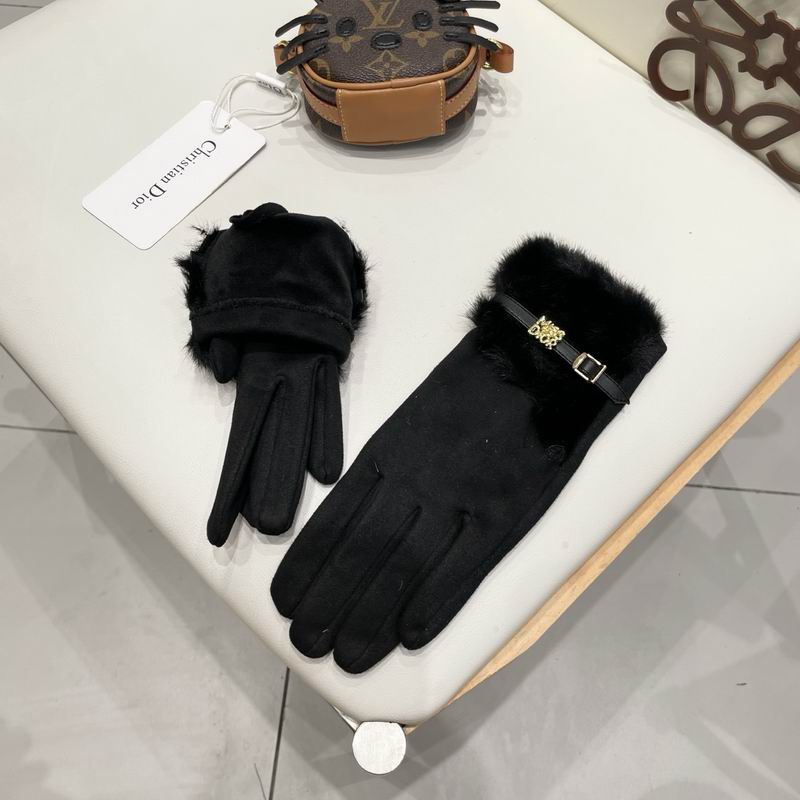 Dior gloves 47 (15)