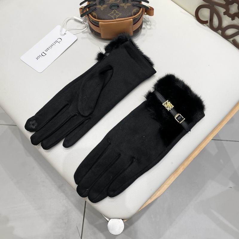 Dior gloves 47 (16)