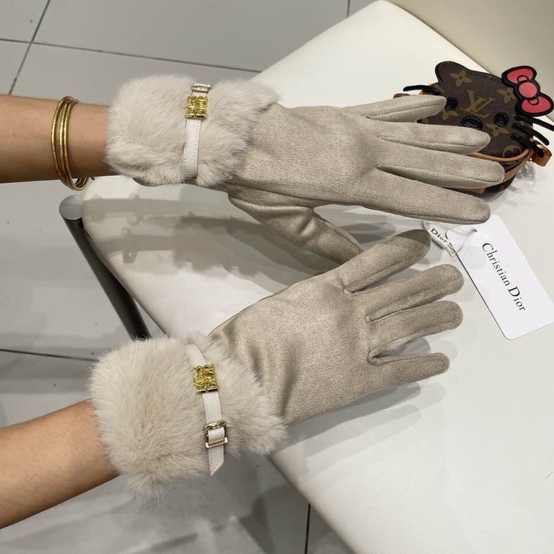 Dior gloves 47 (3)